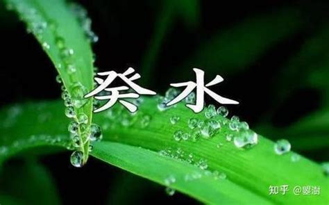 癸水身強|八字天干：癸水